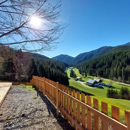 Huette Neuhaus Villa Annaberg im Lammertal Exterior foto