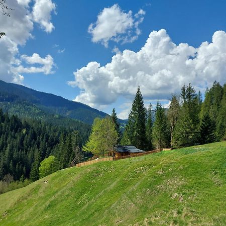 Huette Neuhaus Villa Annaberg im Lammertal Exterior foto