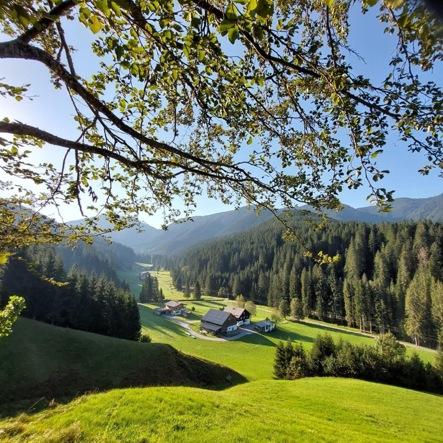 Huette Neuhaus Villa Annaberg im Lammertal Exterior foto
