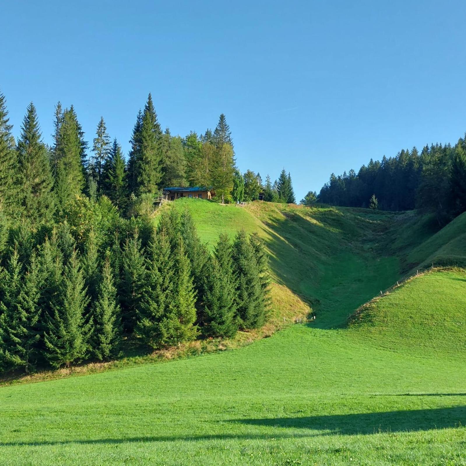 Huette Neuhaus Villa Annaberg im Lammertal Exterior foto