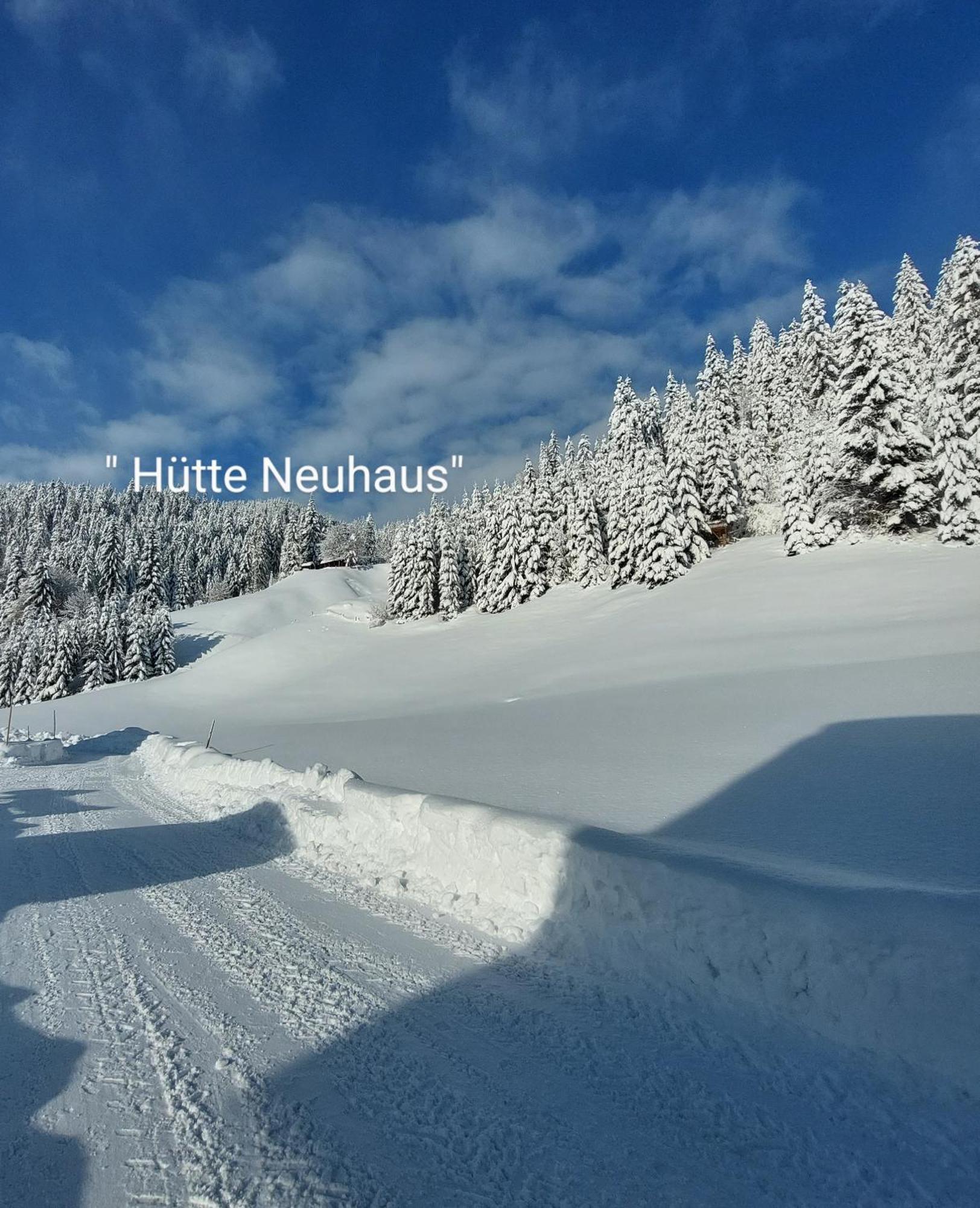 Huette Neuhaus Villa Annaberg im Lammertal Exterior foto
