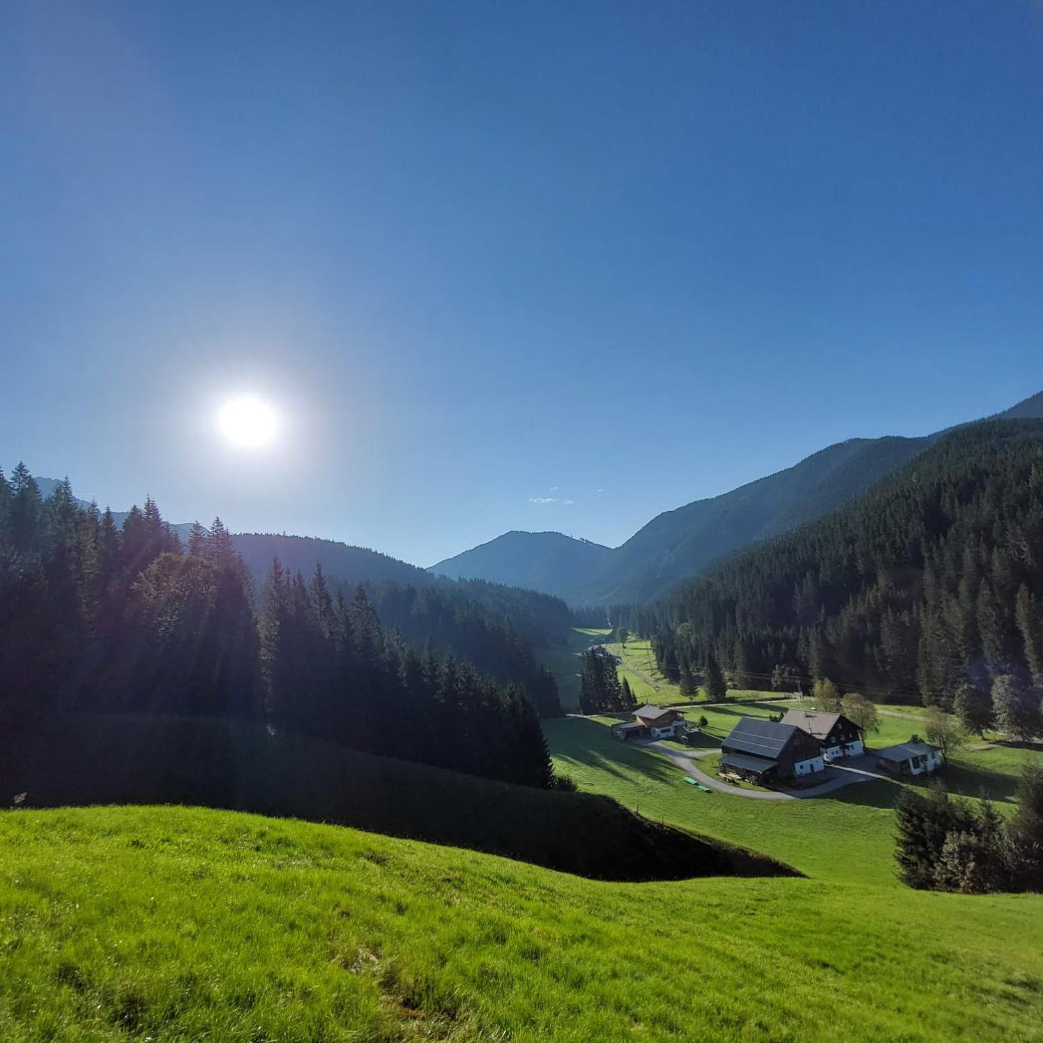 Huette Neuhaus Villa Annaberg im Lammertal Exterior foto