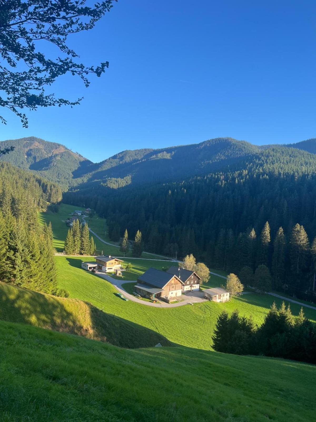 Huette Neuhaus Villa Annaberg im Lammertal Exterior foto