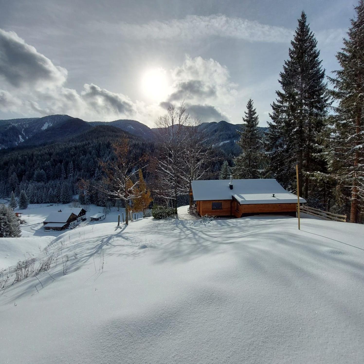 Huette Neuhaus Villa Annaberg im Lammertal Exterior foto