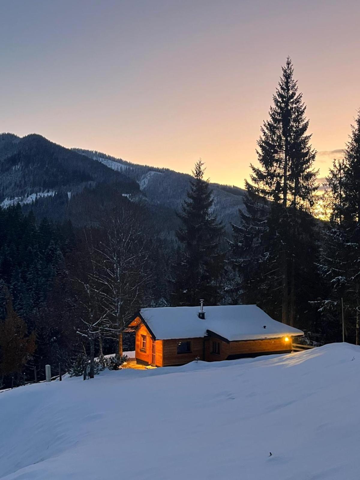 Huette Neuhaus Villa Annaberg im Lammertal Exterior foto